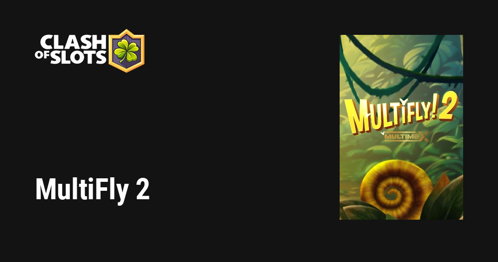 MultiFly 2