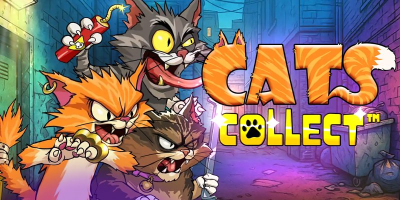 Cats Collect