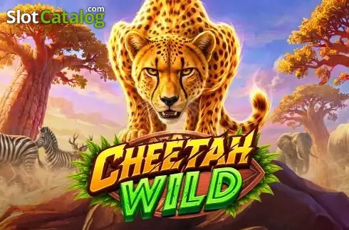 Cheetah