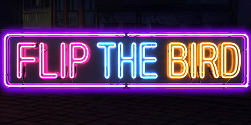 Flip the Bird: Max Chaos